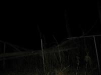 Chicago Ghost Hunters Group investigates Bachelors Grove (43).JPG